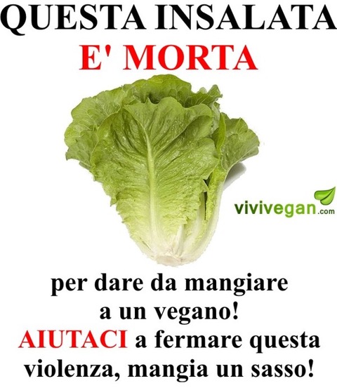 campagna_anti_vegan-jpeg