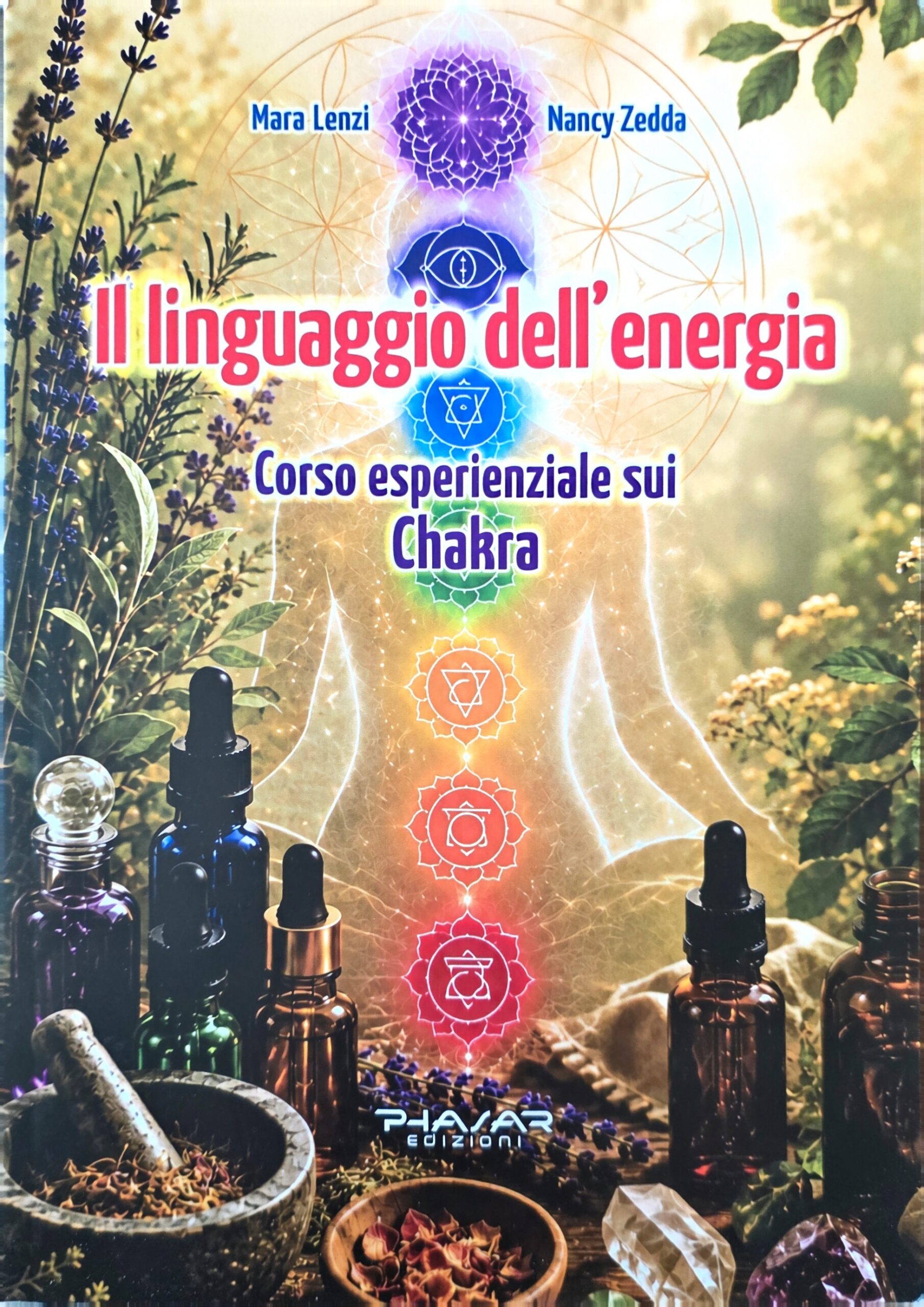 copertina il linguaggio dell energia